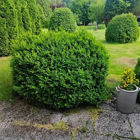 Haus 2 Etagen Garten 1 Badezimmer,1 Gaeste Wc 200 Qm 5 Betten Gehoben Mit Garten